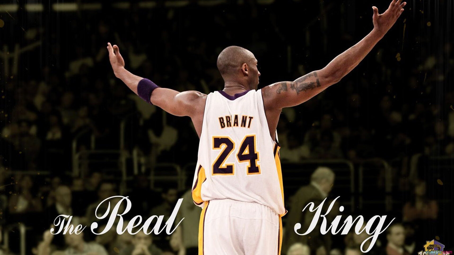 健美锦标赛:力量与美的完美结合,健美竞赛