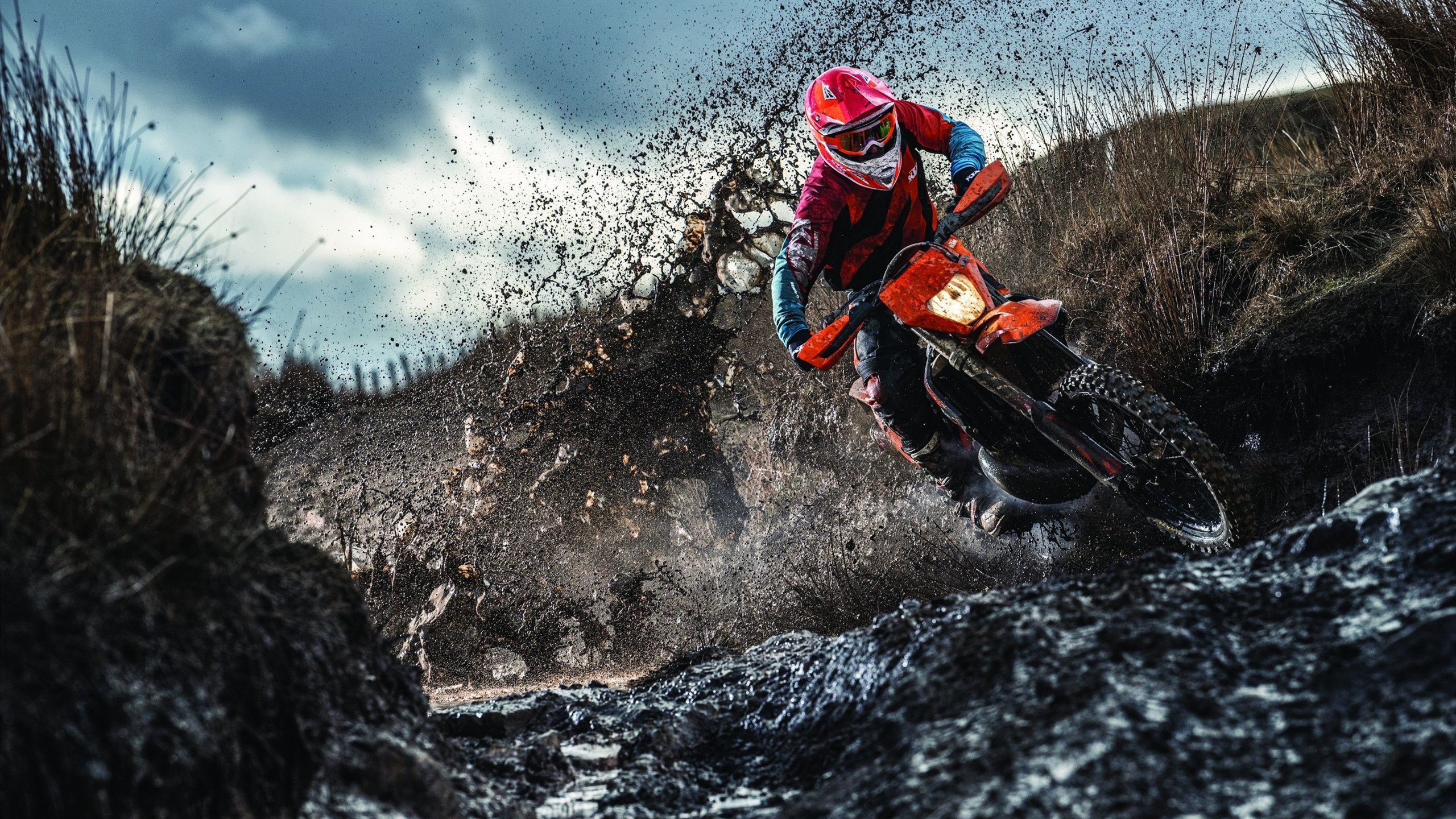 奥斯马尔·奥尔韦拉跳板项目新星崛起,奥尔维斯